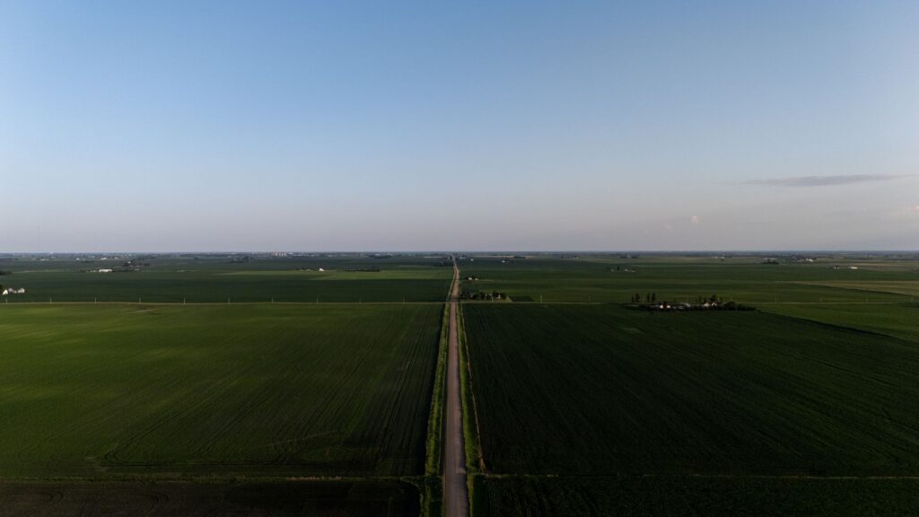 Cum poti cultiva vinete si cum alegi legumele pentru gradina ta? Cum poti cultiva vinete si cum alegi legumele pentru gradina ta?
