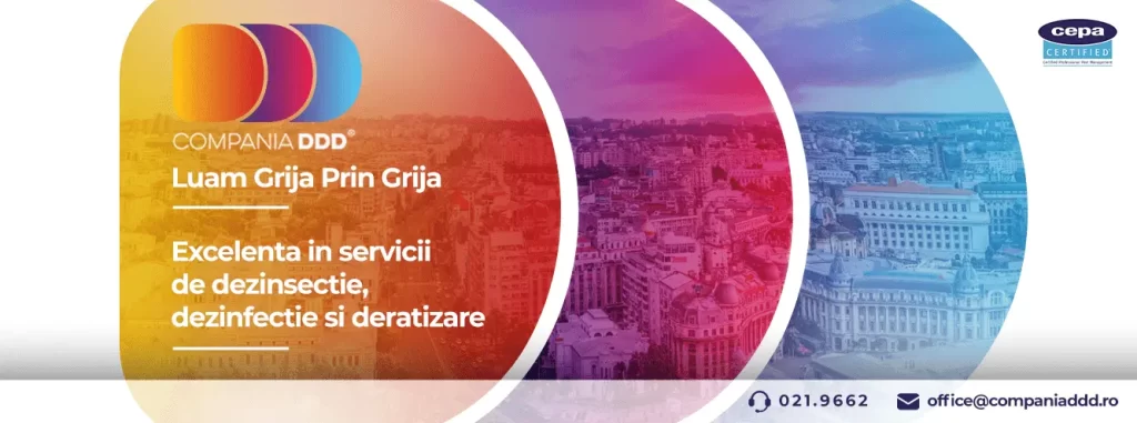 Rolul Dezinfectiei in Industria Cosmeticelor si Produselor de Ingrijire