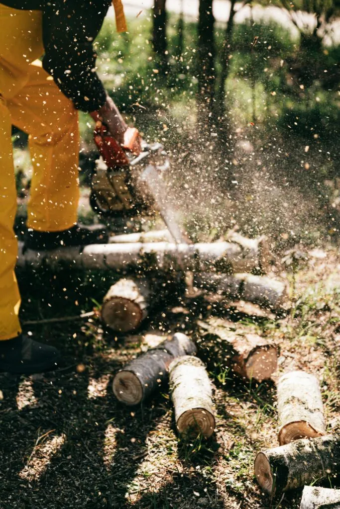 Alegerea Ideala pentru Orice Proiect de Taiere: Drujba pe Benzina