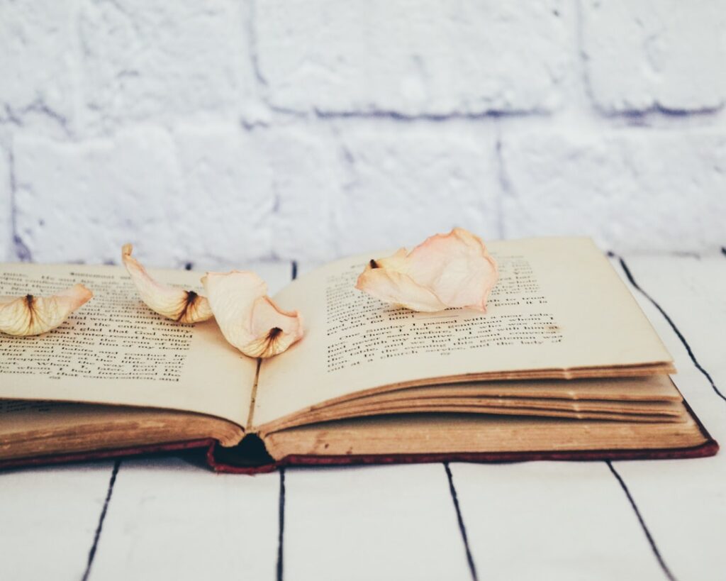 Photo Open book
