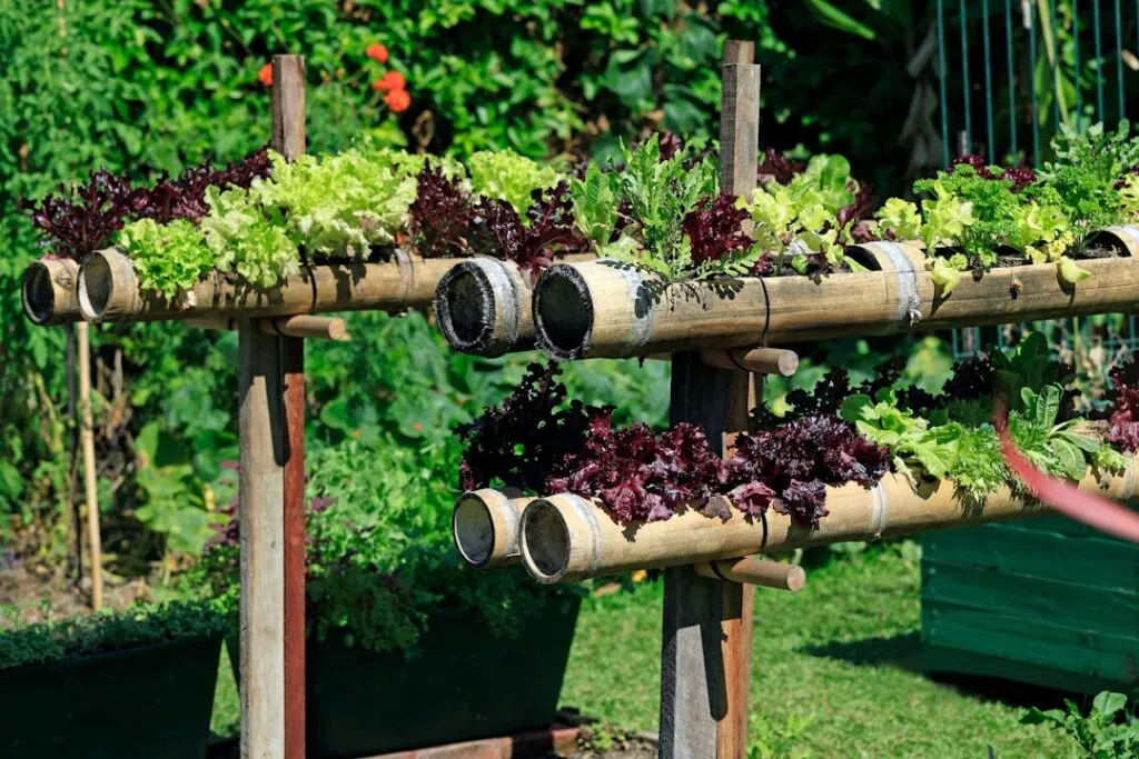 Photo Vertical garden