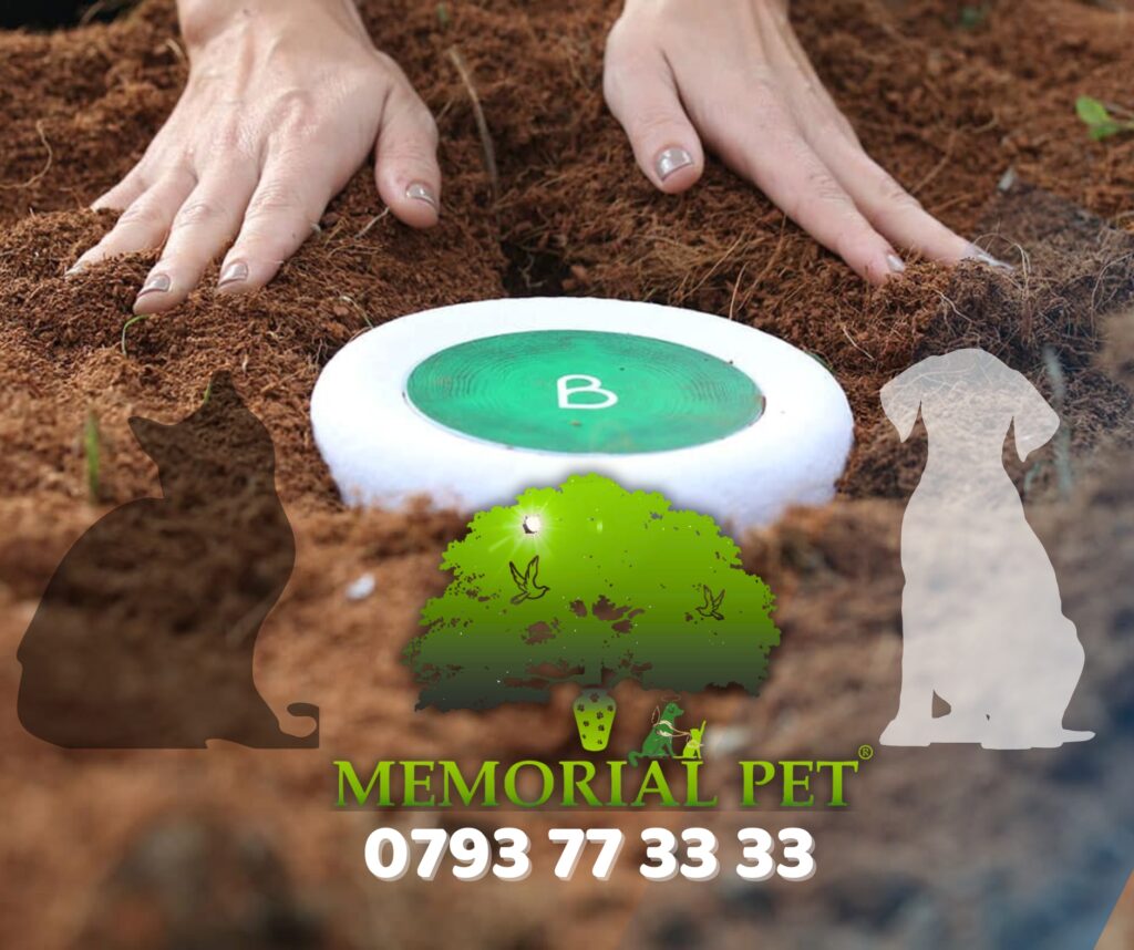 MemorialPet.ro