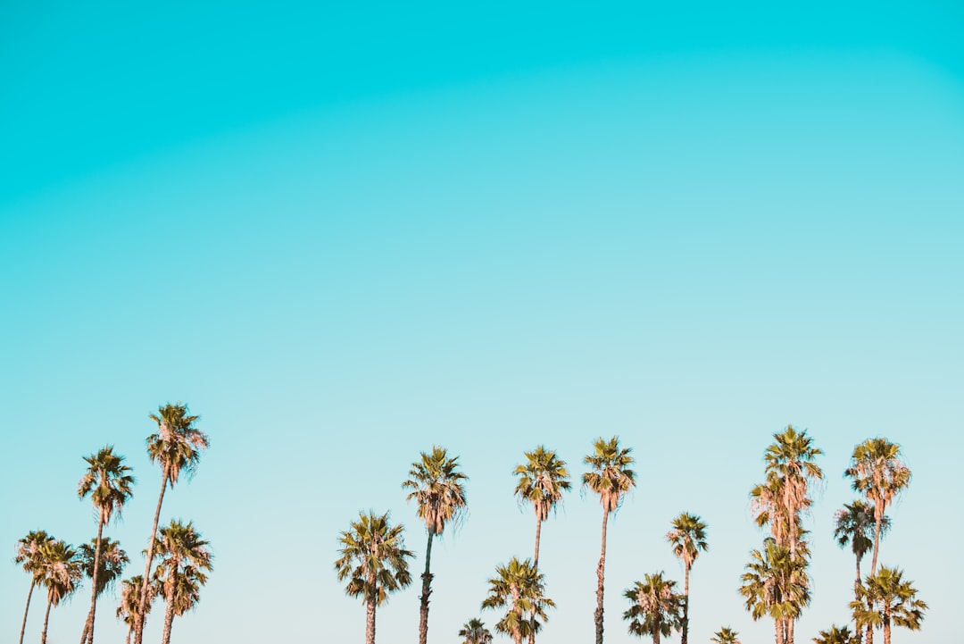 Photo marketing through micro-influencers