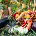 Legume ideale pentru grădinarii începători: ce alegi ca să ai succes