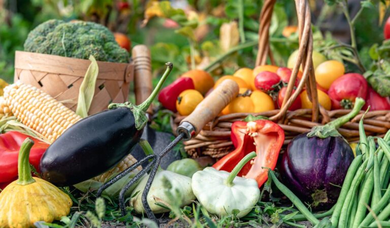 Legume ideale pentru grădinarii începători: ce alegi ca să ai succes