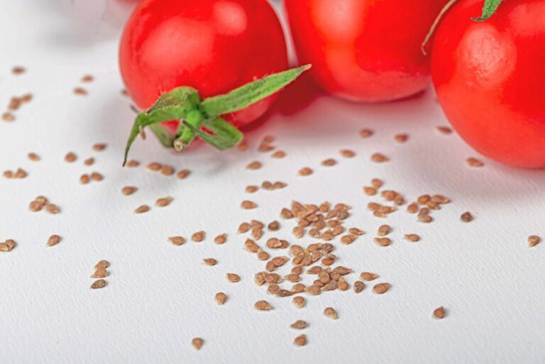 ​5 greșeli frecvente când cumperi semințe legume pentru grădină