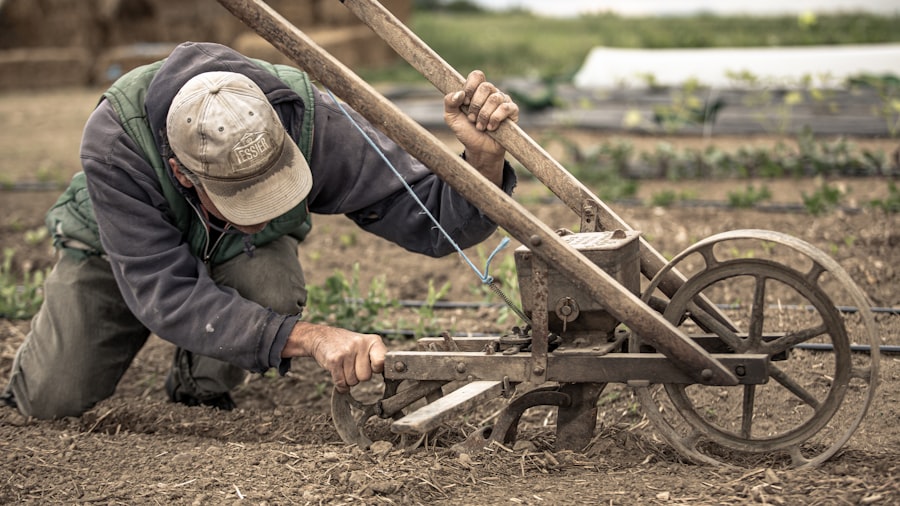 cultivating independence