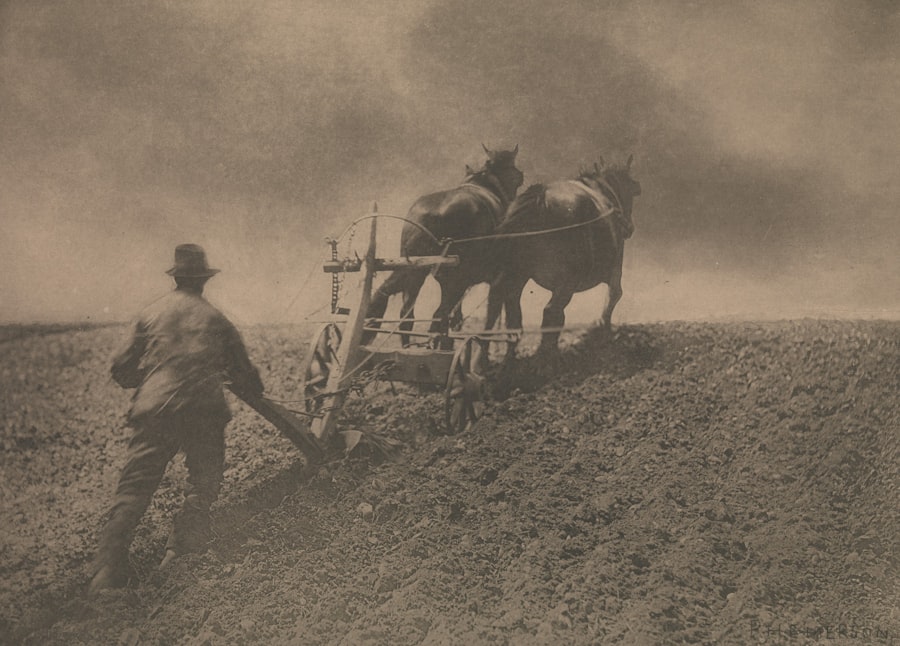 Photo cultivating independence